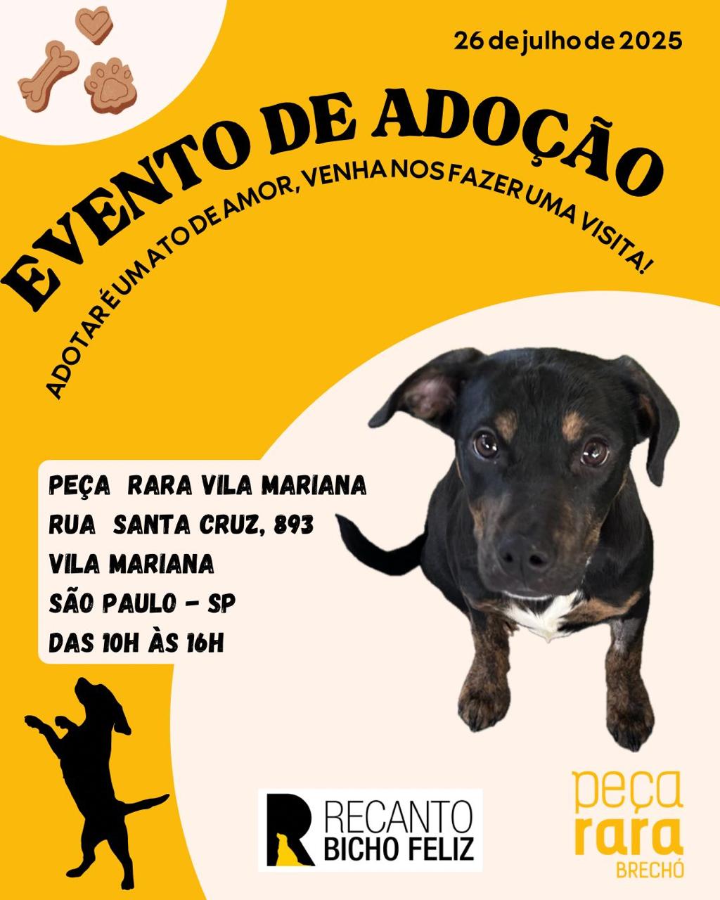 Peça Rara Vila Mariana 26/07/2025