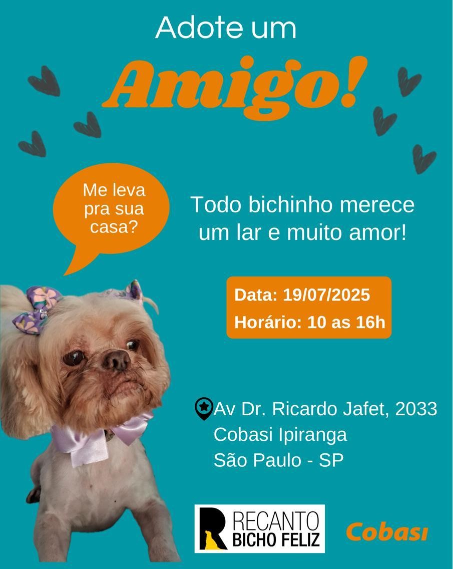 Cobasi Ipiranga 19/07/2025