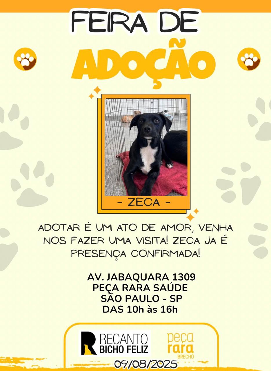 Peça Rara Saúde 09/08/2025